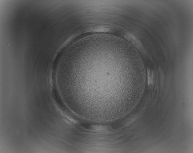 X0000070170300200605261203