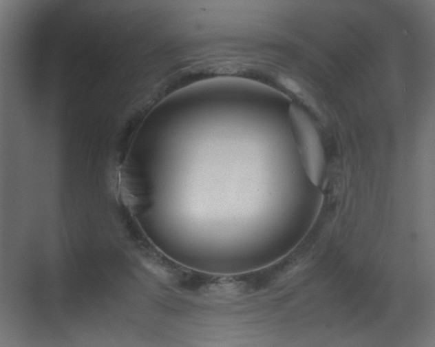 X0000070170307200605261203