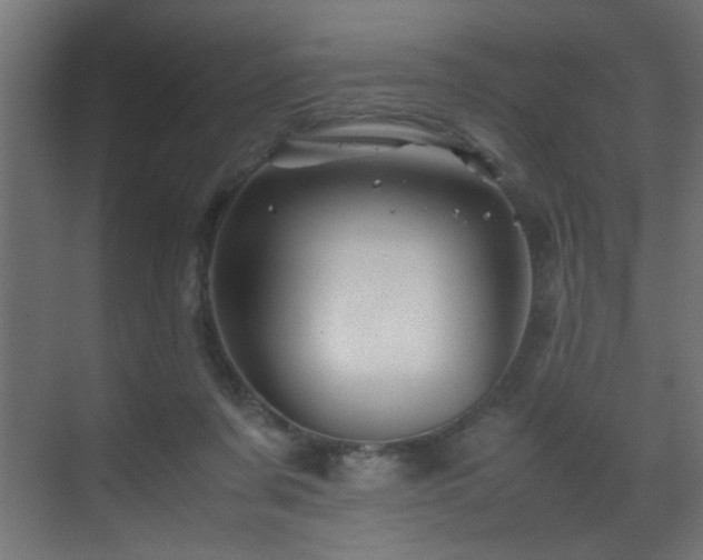 X0000070170311200605261202