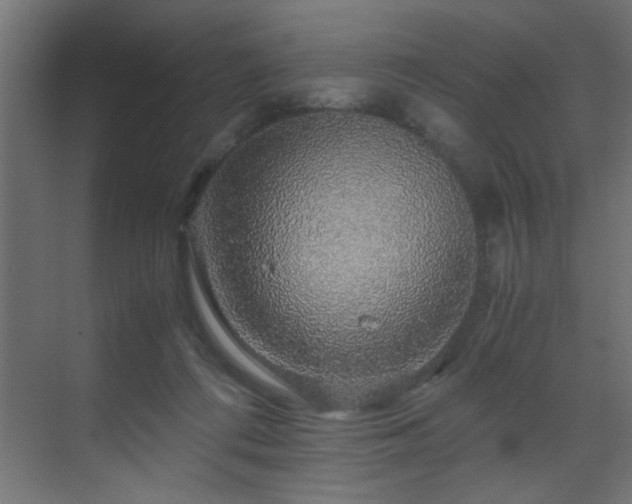 X0000070170312200605261202