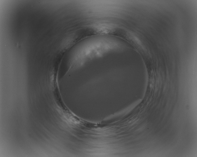 X0000070170314200605261202