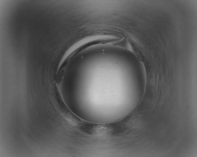 X0000070170315200605261202