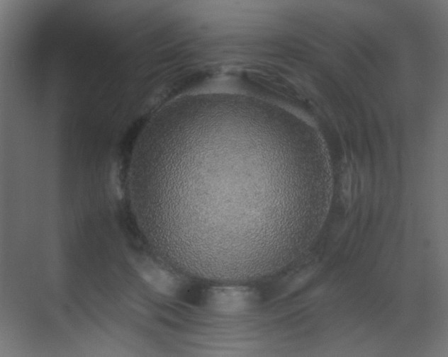 X0000070170316200605261202