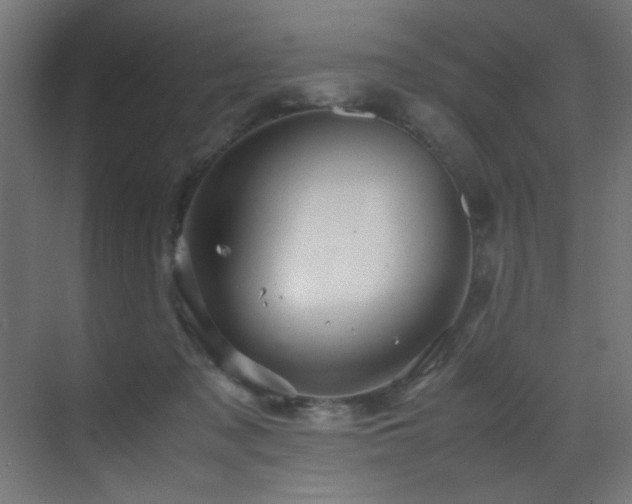 X0000070170317200605261202