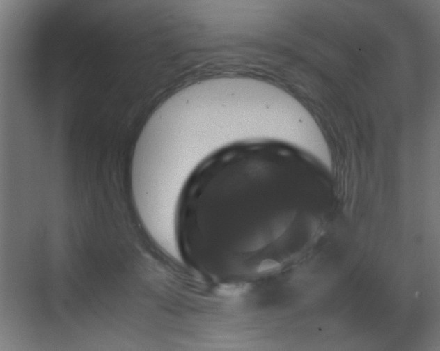 X0000070170319200605261202