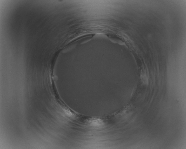 X0000070170322200605261202