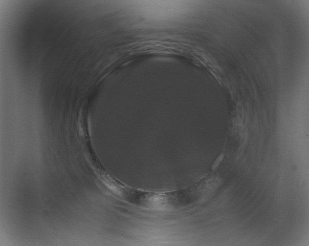 X0000070170325200605261202