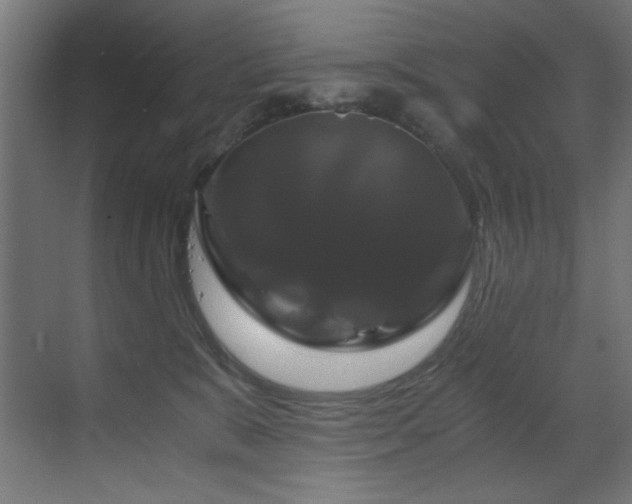 X0000070170327200605261202