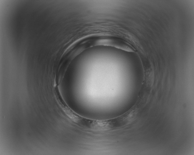 X0000070170329200605261202