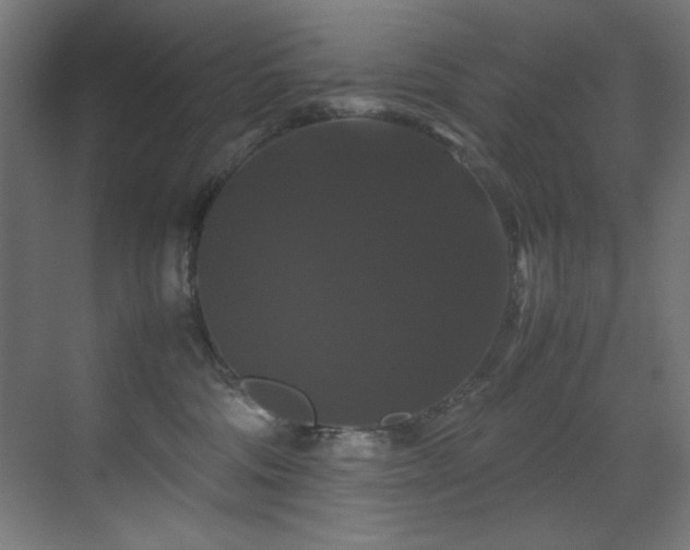X0000070170330200605261202