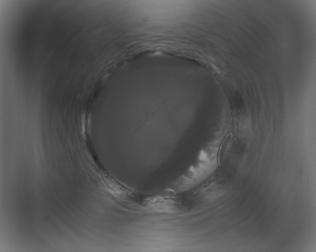 X0000070170331200605261202