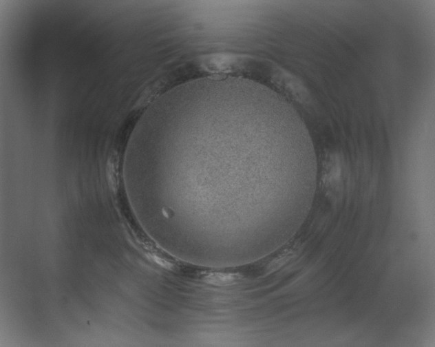 X0000070170332200605261202