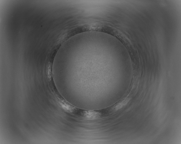 X0000070170336200605261202