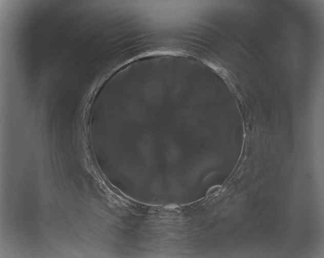 X0000070170337200605261201