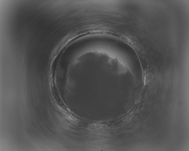 X0000070170339200605261201