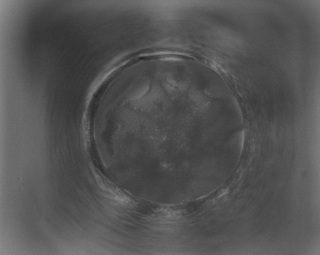 X0000070170343200605261201