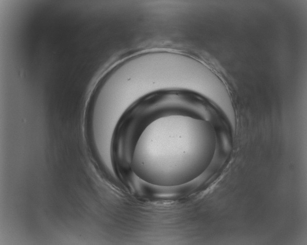 X0000070170344200605261201