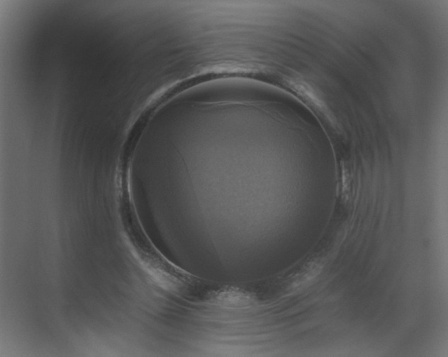 X0000070170348200605261201