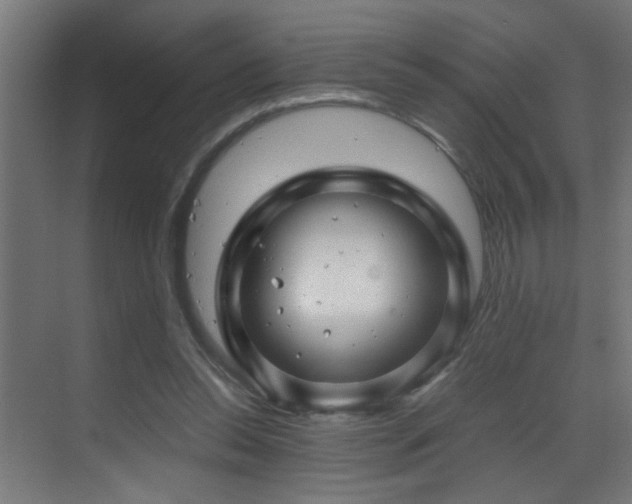X0000070170350200605261201