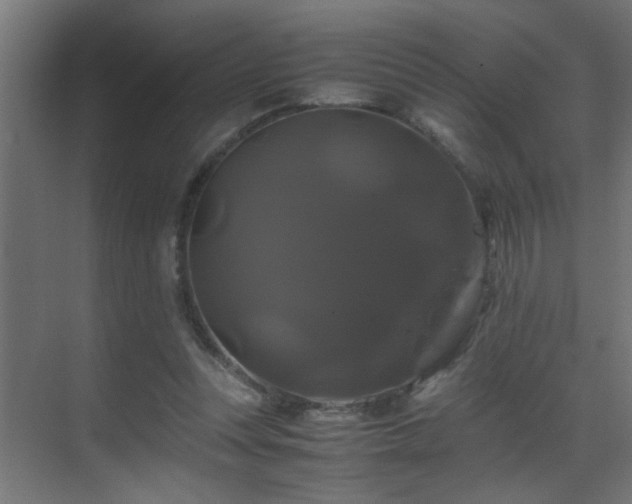 X0000070170351200605261201