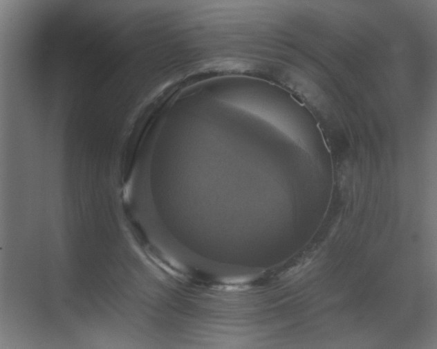 X0000070170352200605261202