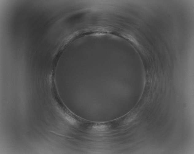 X0000070170357200605261202
