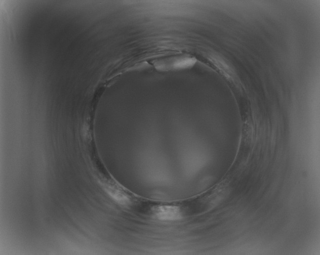 X0000070170361200605261202