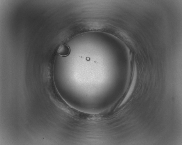X0000070170362200605261202