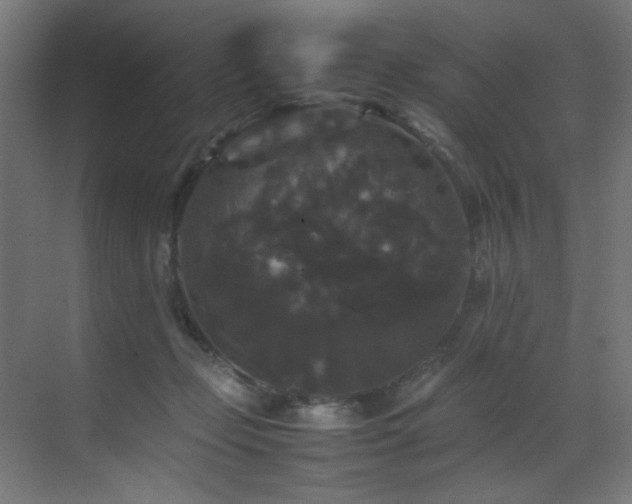X0000070170365200605261202