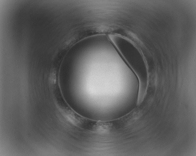 X0000070170368200605261202