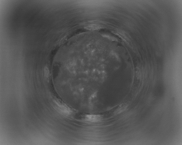 X0000070170371200605261202