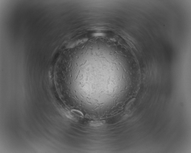 X0000070170373200605261202