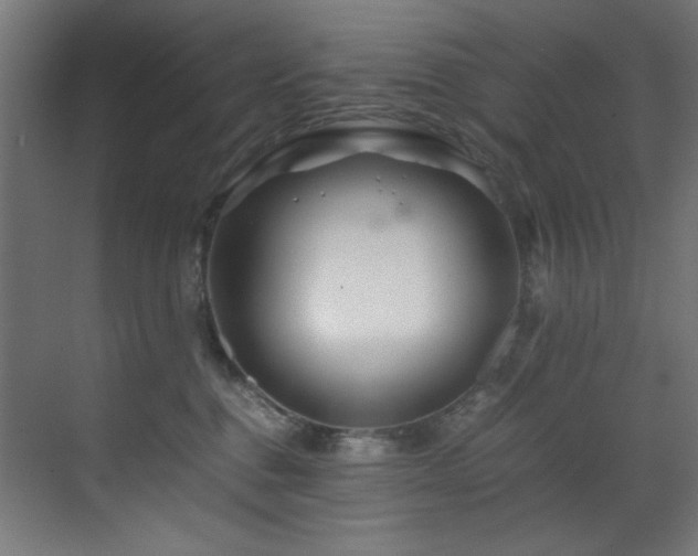 X0000070170376200605261202