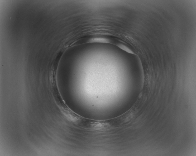 X0000070170379200605261202