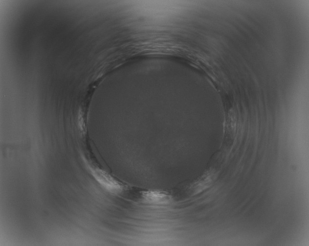 X0000070170380200605261202