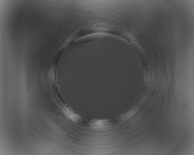 X0000070170382200605261202