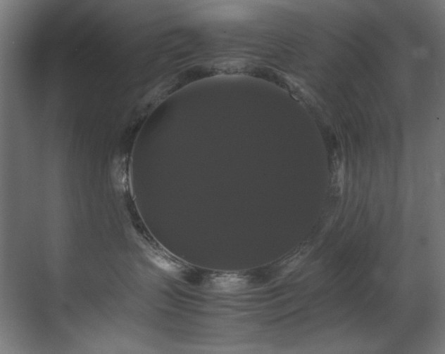 X0000070170383200605261202