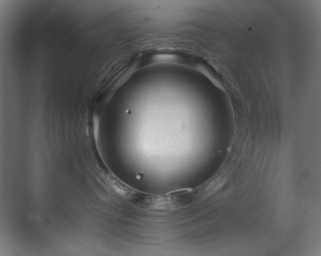 X0000070170384200605261202