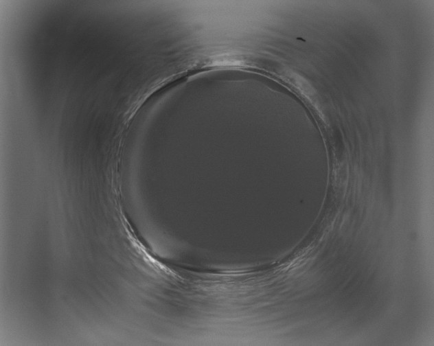 X0000070170385200605261201
