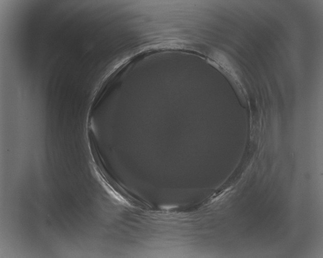 X0000070170389200605261201