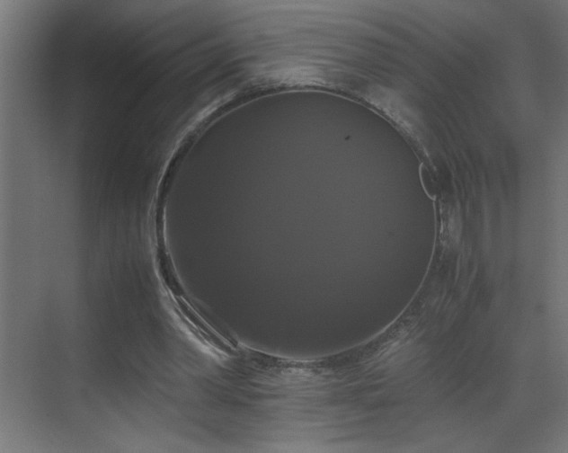 X0000070170390200605261201