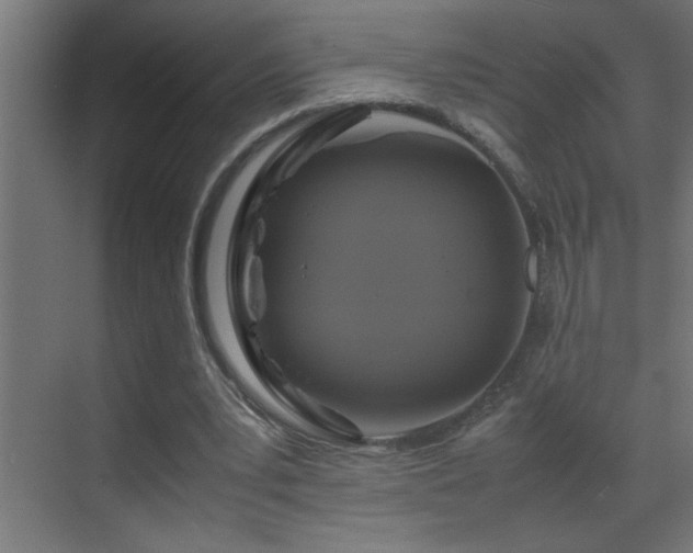 X0000070170391200605261201