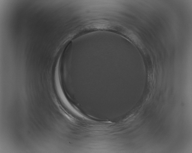 X0000070170397200605261201