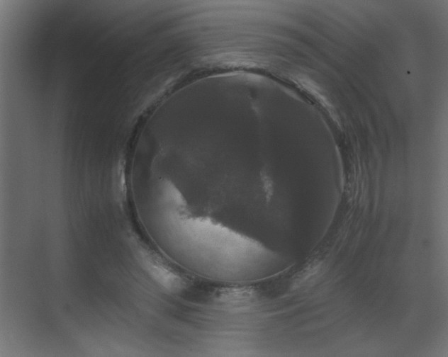 X0000070170398200605261201