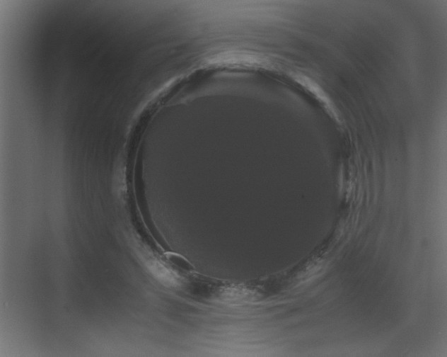 X0000070170399200605261201