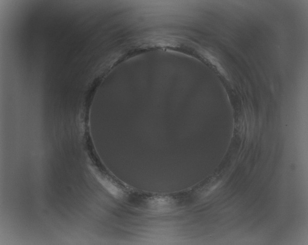 X0000070170402200605261201