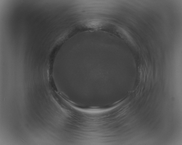 X0000070170404200605261201