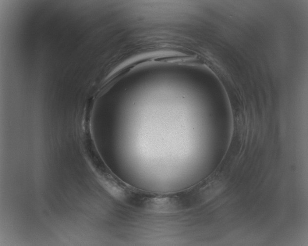 X0000070170406200605261201