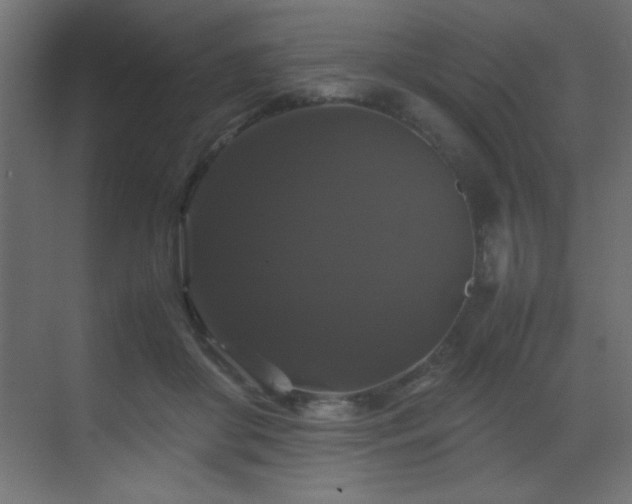 X0000070170410200605261201