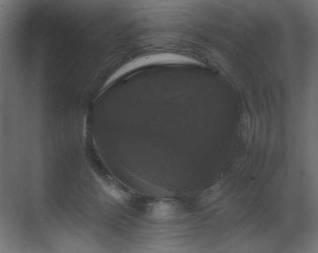 X0000070170412200605261201